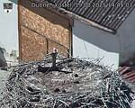 Capi_Dubne_20250819_144503.jpg