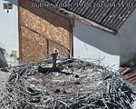 Capi_Dubne_20250819_145503.jpg