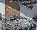 Capi_Dubne_20250819_153005.jpg