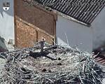 Capi_Dubne_20250819_154003.jpg