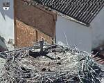 Capi_Dubne_20250819_154503.jpg