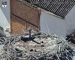 Capi_Dubne_20250819_160004.jpg