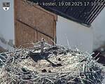Capi_Dubne_20250819_171004.jpg