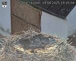 Capi_Dubne_20250819_190504.jpg