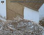 Capi_Dubne_20250819_195003.jpg