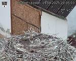 Capi_Dubne_20250819_200503.jpg