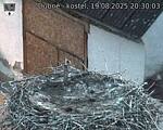 Capi_Dubne_20250819_203003.jpg