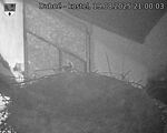 Capi_Dubne_20250819_210003.jpg