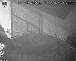 Capi_Dubne_20250819_212003.jpg