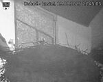 Capi_Dubne_20250819_214503.jpg