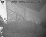 Capi_Dubne_20250819_234503.jpg