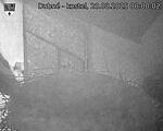 Capi_Dubne_20250820_000002.jpg