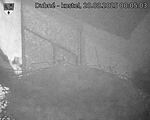 Capi_Dubne_20250820_000503.jpg