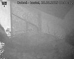 Capi_Dubne_20250820_001002.jpg