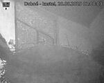 Capi_Dubne_20250820_010003.jpg