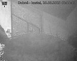 Capi_Dubne_20250820_021003.jpg