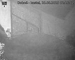 Capi_Dubne_20250820_021502.jpg