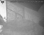 Capi_Dubne_20250820_042503.jpg