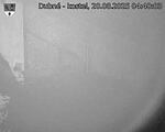 Capi_Dubne_20250820_044003.jpg