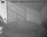 Capi_Dubne_20250820_050003.jpg