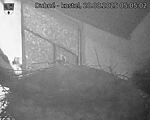 Capi_Dubne_20250820_050502.jpg