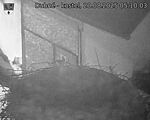 Capi_Dubne_20250820_051003.jpg