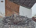 Capi_Dubne_20250820_080502.jpg