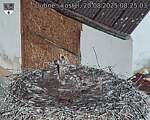 Capi_Dubne_20250820_082503.jpg