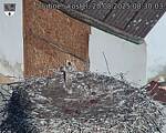 Capi_Dubne_20250820_083003.jpg