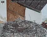 Capi_Dubne_20250820_090003.jpg