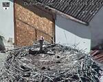 Capi_Dubne_20250820_144003.jpg