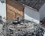 Capi_Dubne_20250820_152003.jpg