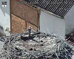 Capi_Dubne_20250820_155002.jpg