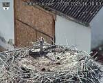 Capi_Dubne_20250820_161003.jpg