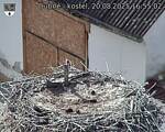 Capi_Dubne_20250820_165502.jpg