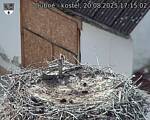 Capi_Dubne_20250820_171502.jpg