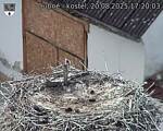 Capi_Dubne_20250820_172003.jpg