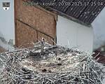 Capi_Dubne_20250820_172504.jpg