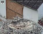 Capi_Dubne_20250820_174002.jpg