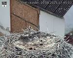 Capi_Dubne_20250820_174503.jpg