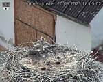 Capi_Dubne_20250820_180502.jpg