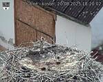 Capi_Dubne_20250820_182002.jpg