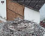 Capi_Dubne_20250820_194503.jpg