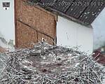 Capi_Dubne_20250820_200002.jpg