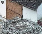 Capi_Dubne_20250820_201503.jpg