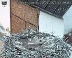 Capi_Dubne_20250820_202003.jpg