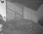 Capi_Dubne_20250820_204503.jpg