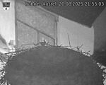 Capi_Dubne_20250820_215503.jpg