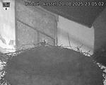 Capi_Dubne_20250820_230502.jpg
