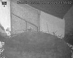 Capi_Dubne_20250820_235502.jpg